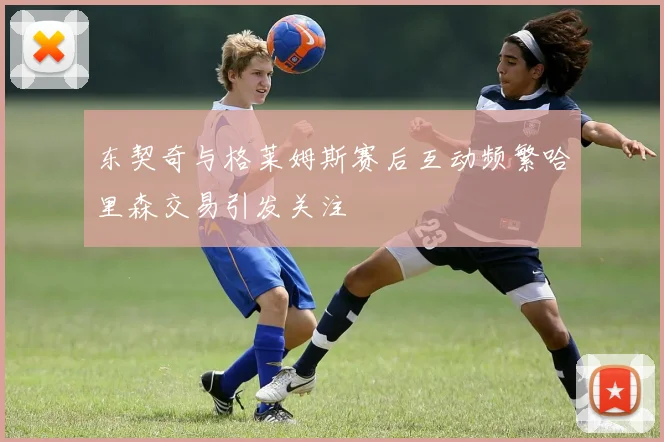 东契奇与格莱姆斯赛后互动频繁哈里森交易引发关注
