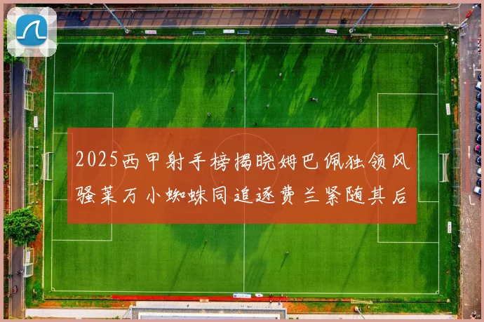 2025西甲射手榜揭晓姆巴佩独领风骚莱万小蜘蛛同追逐费兰紧随其后